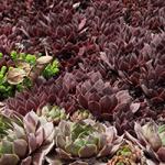 �������� �������� � ������������